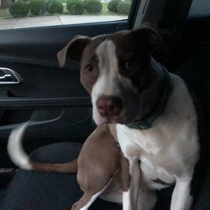 Meet your Posher, Kerrye